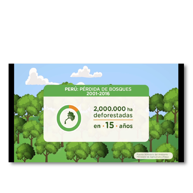 ¿Conoces los riesgos de la deforestación en el Perú?