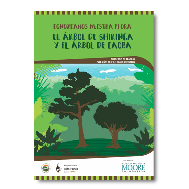 Conozcamos nuestra flora: El árbol de la shiringa y el árbol de la caoba