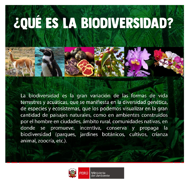 ¿Qué es la biodiversidad?