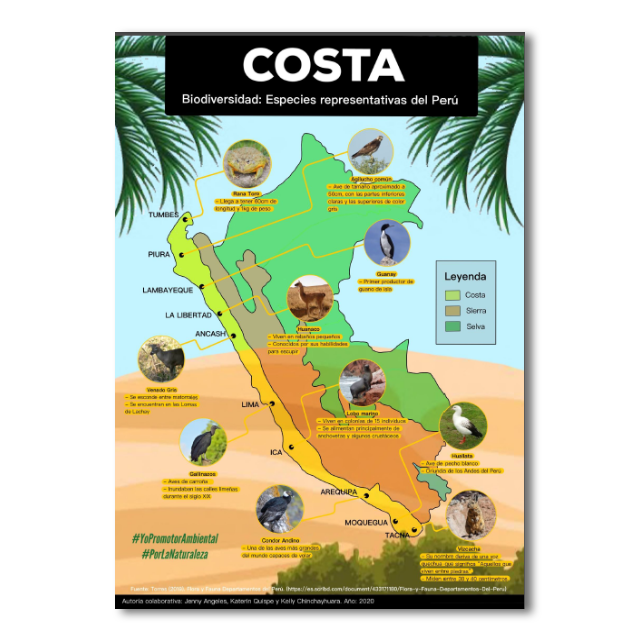 COSTA. Biodiversidad: especies representativas del Perú