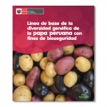 Línea base de la diversidad genética de la papa peruana con fines de bioseguridad