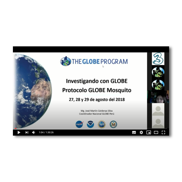Investigación de mosquitos con GLOBE Observer: GLOBE y el estudio de los mosquitos