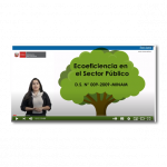 Ecoeficiencia en las instituciones públicas: Institucionalidad