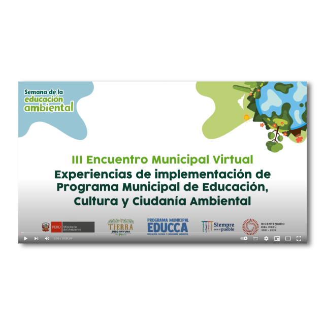 III Encuentro Municipal Virtual: Experiencias de implementación del Programa Municipal EDUCCA