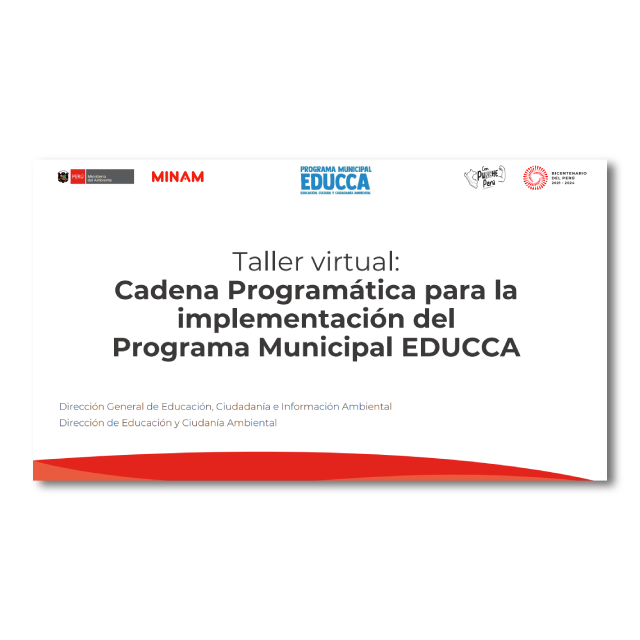 Video del Taller virtual: Cadena programática para la implementación del Programa Municipal EDUCCA (17/05/2023)