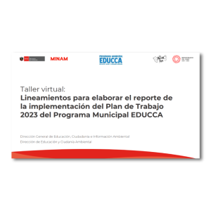Taller virtual: Lineamientos para elaborar el reporte de la ...