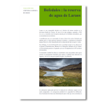 Bofedales: la reserva de agua de Laraos