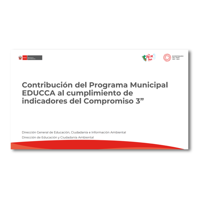 Video del Webinar: Contribución del Programa Municipal EDUCCA al cumplimiento de indicadores del compromiso 3