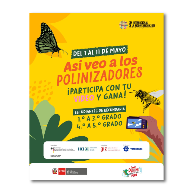Concurso de video para estudiantes de secundaria. Tema: “Sin polinizadores no hay vida”
