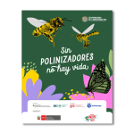 ¡Sin polinizadores no hay vida!