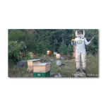 2do puesto del Concurso de video: “Sin polinizadores no hay vida”. Categoría 1