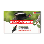 I Simposio Nacional. Conservación y recuperación de la Pava Aliblanca en Perú