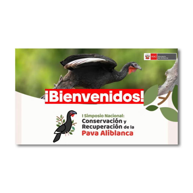 I Simposio Nacional. Conservación y recuperación de la Pava Aliblanca en Perú