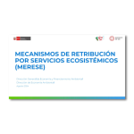 Sesión 10 - Mecanismos de retribución por Servicios Ecosistémicos (MERESE). Presentación 2024